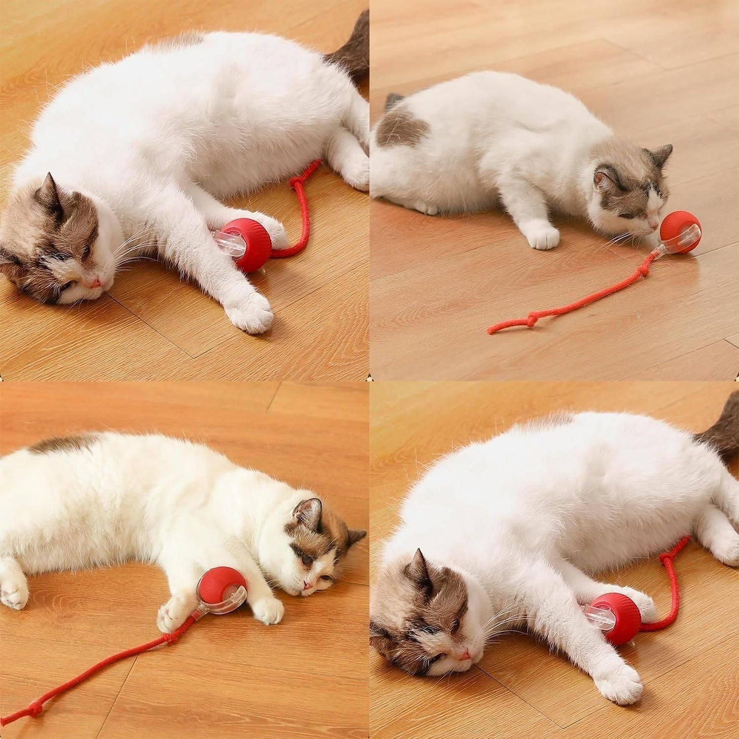 SpinBuddy™ Viral Rolling Ball, Interactive Ball Toy for your Cat/Dog