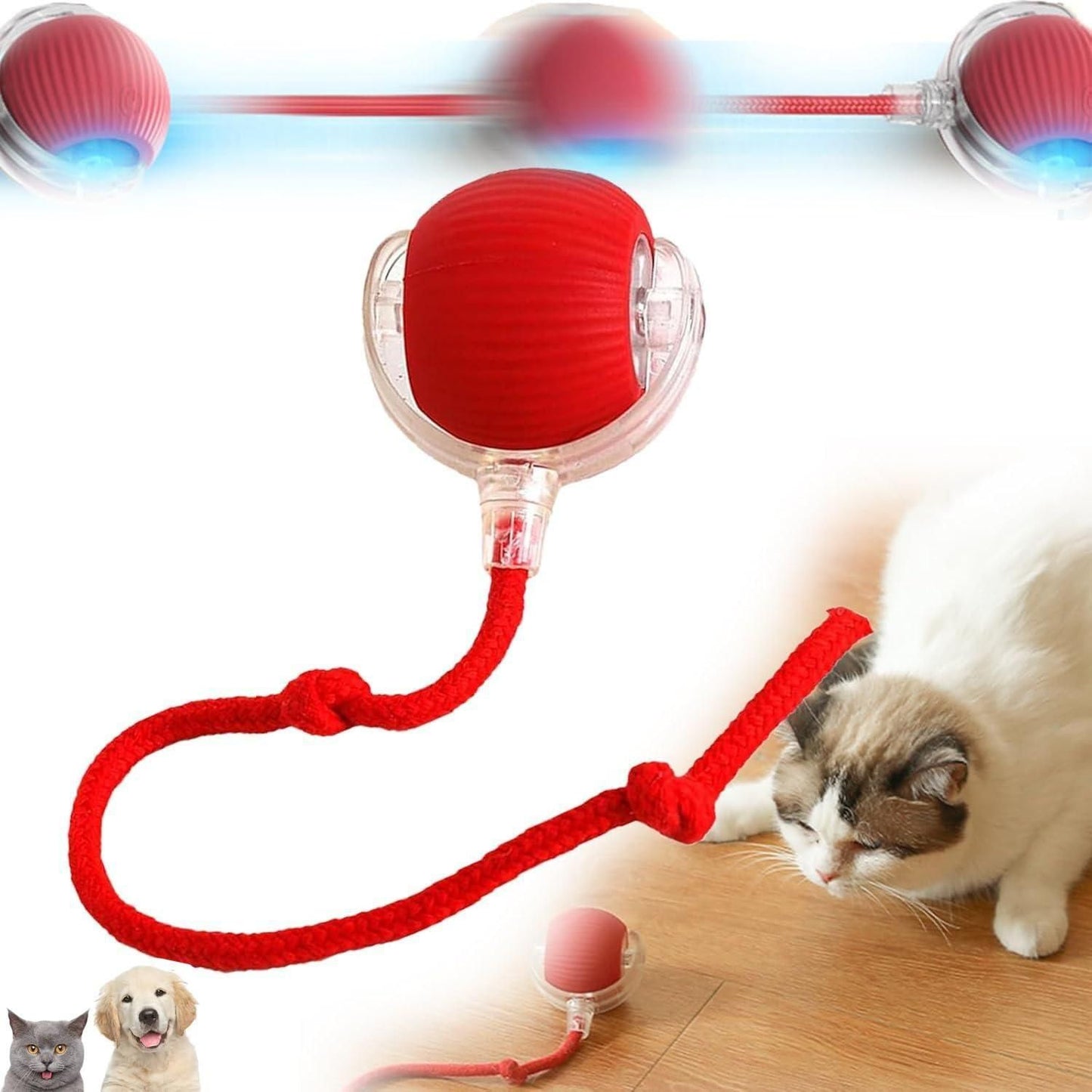 SpinBuddy™ Viral Rolling Ball, Interactive Ball Toy for your Cat/Dog