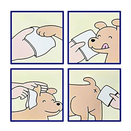 Mundo Pet™ all purpose wipes